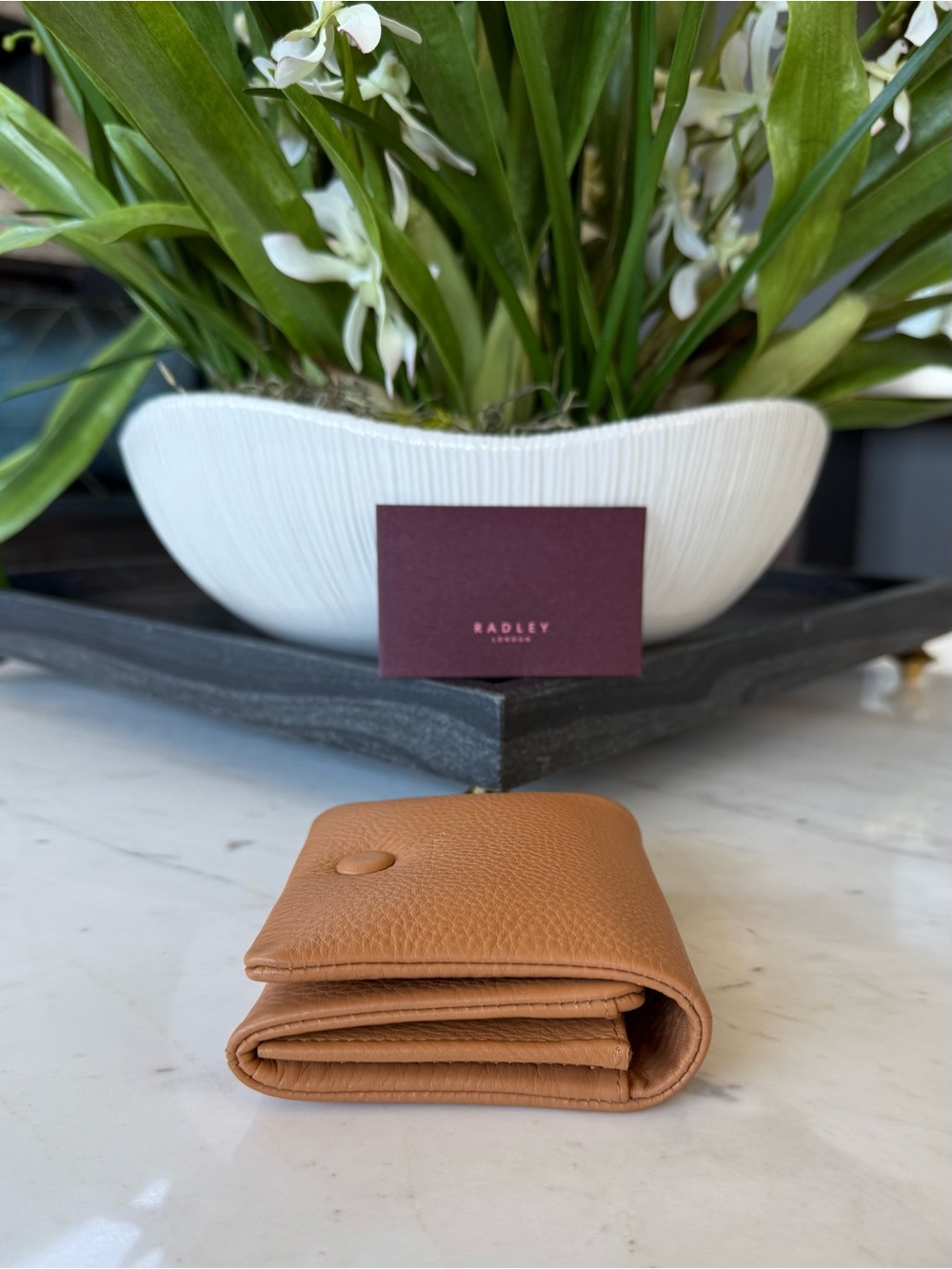 New Radley London Leather Mallow Street Mini Wallet Purse - Picture 5 of 16